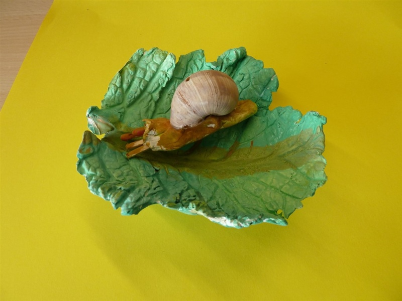 Schnecken cycle 2.1 201314 12